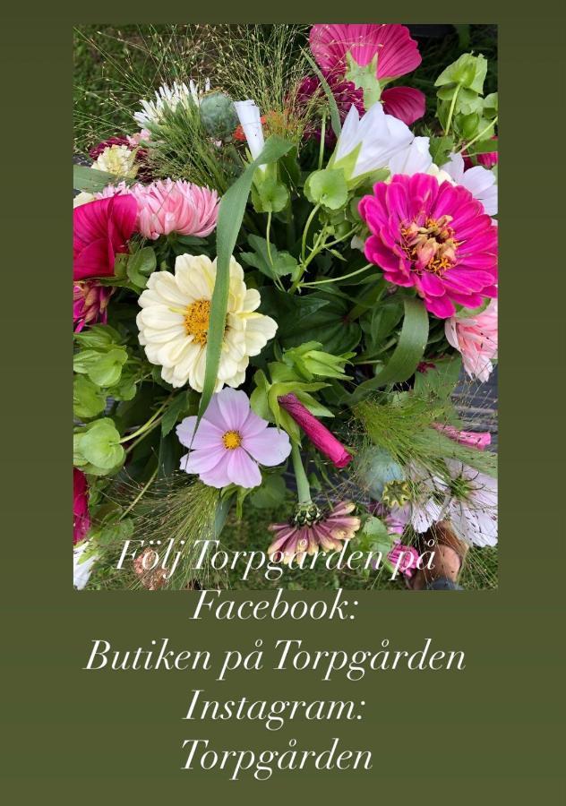 Appartement Torpgarden Oennerudsvaegen 56 à Torsby Extérieur photo