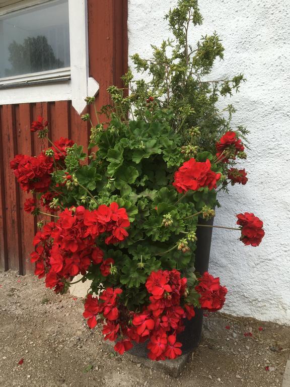 Appartement Torpgarden Oennerudsvaegen 56 à Torsby Extérieur photo